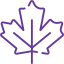 canada icon